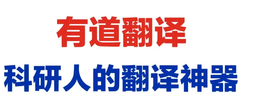 有道翻译英译中